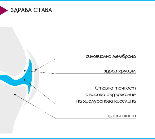 Normal joint